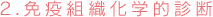 2.免疫組織化学的診断