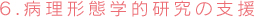 6.病理形態学的研究の支援