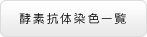 酵素抗体染色一覧