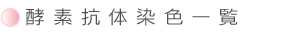 酵素抗体染色一覧