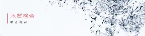 水質検査