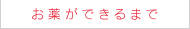 お薬ができるまで