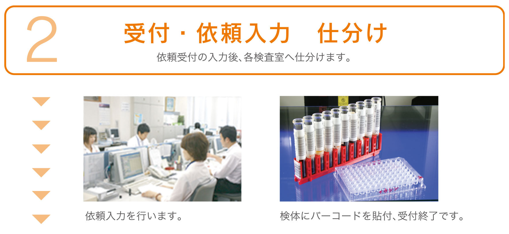 受付、依頼入力、仕分け